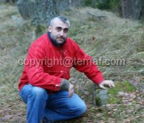 La tomba del sacerdote-licantropo di Mazirbe, coperto con le pietre (2008)